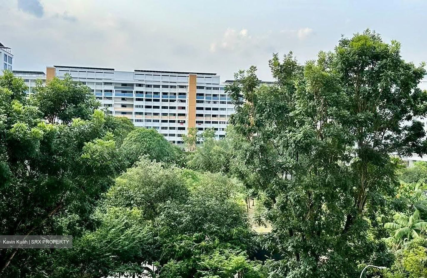 Blk 123 Serangoon North Avenue 1 (Serangoon), HDB Executive #613668881